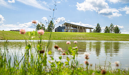 Вилла Линкс