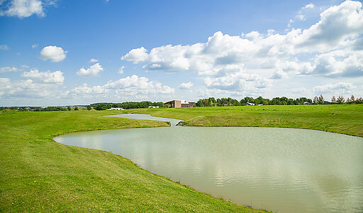 Вилла Линкс