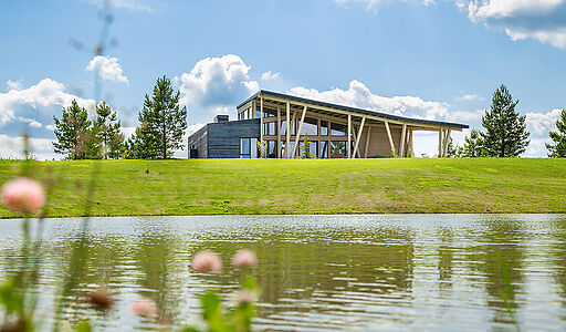 Вилла Линкс