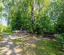 Дом на большом участке в Лысково