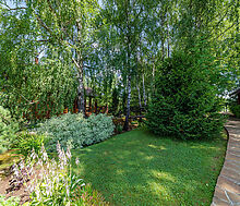 Дом на большом участке в Лысково