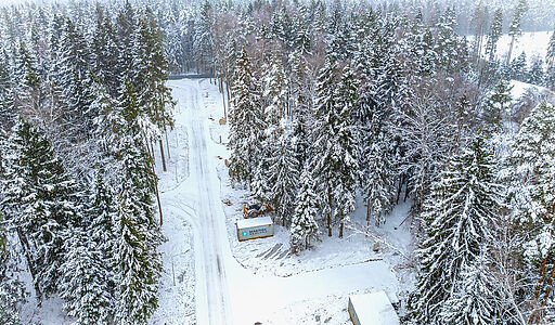 Первый лесной