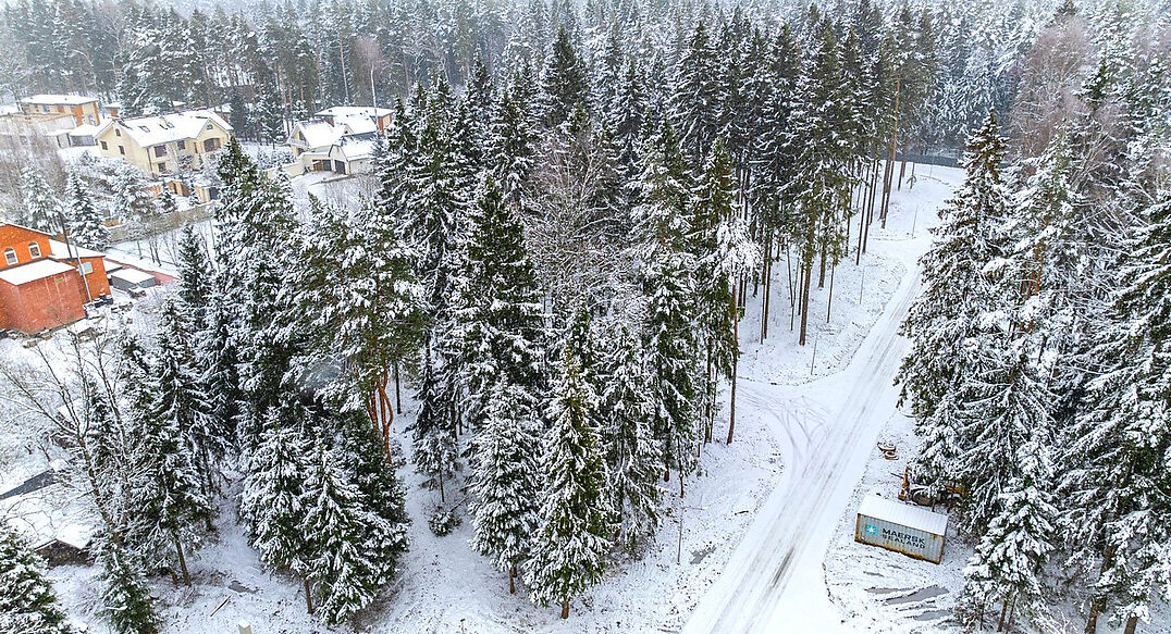 Первый лесной