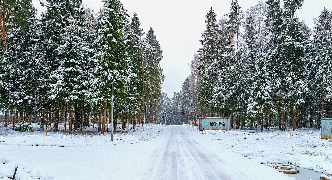 Первый лесной