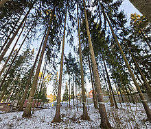 Новый дом в КП Первый Лесной