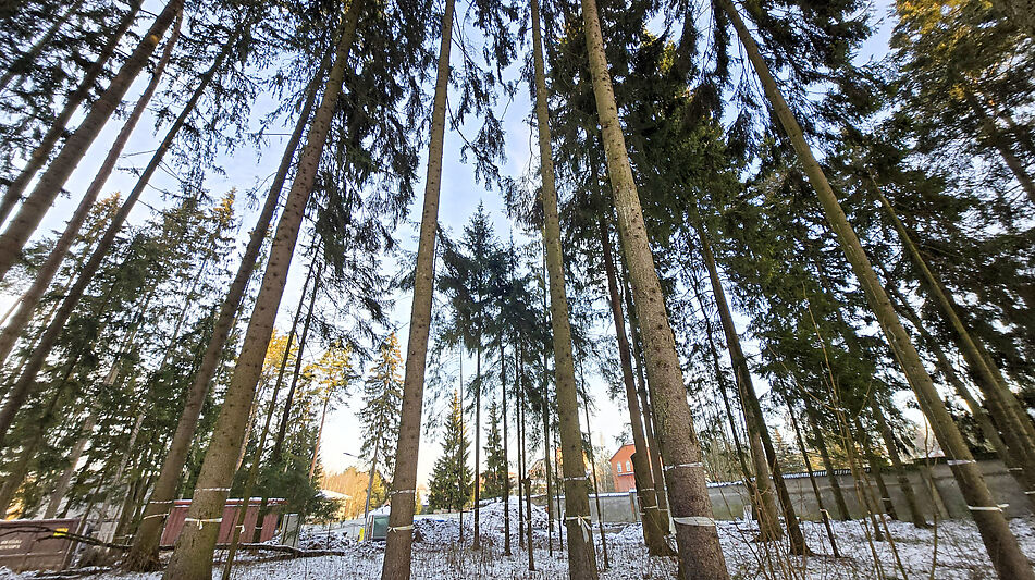 Новый дом в КП Первый Лесной