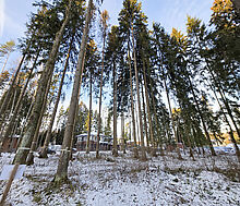 Новый дом в КП Первый Лесной