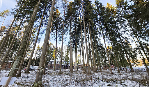 Новый дом в лесу в Сходне