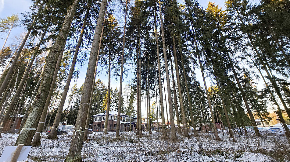 Новый дом в лесу в Сходне