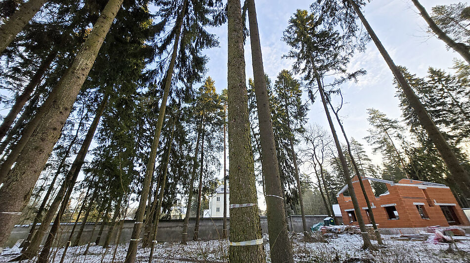 Новый дом в лесу в Сходне