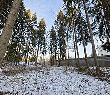 Новый дом в лесу в Сходне