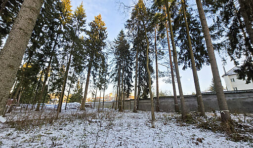 Новый дом в лесу в Сходне