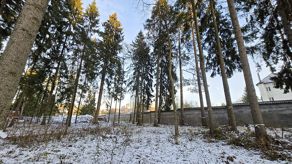 Новый дом в лесу в Сходне