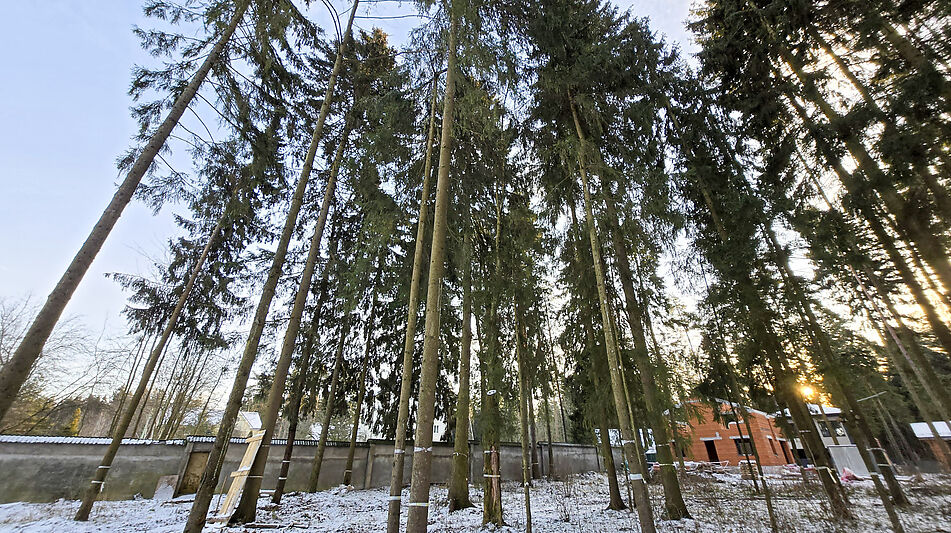 Новый дом в лесу в Сходне