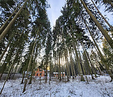 Новый дом в лесу в Сходне