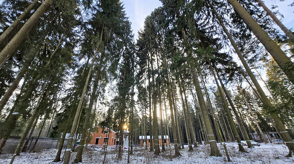 Новый дом в лесу в Сходне