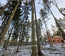 Новый дом в лесу в Сходне