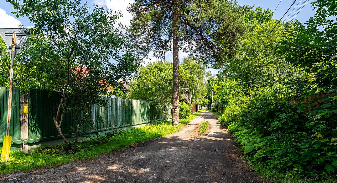 Загорянский