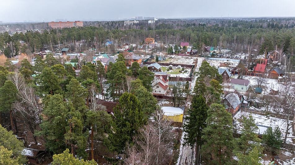 Сказочный дом в лесу Загорянский