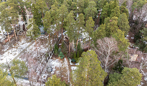 Сказочный дом в лесу Загорянский