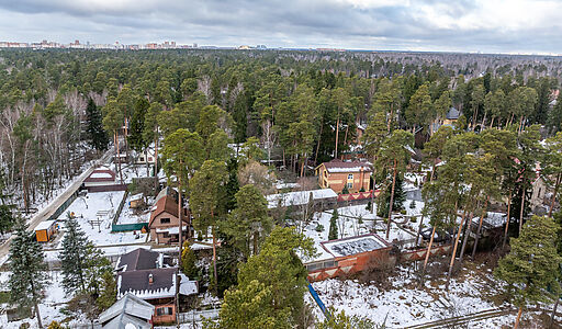 Сказочный дом в лесу Загорянский