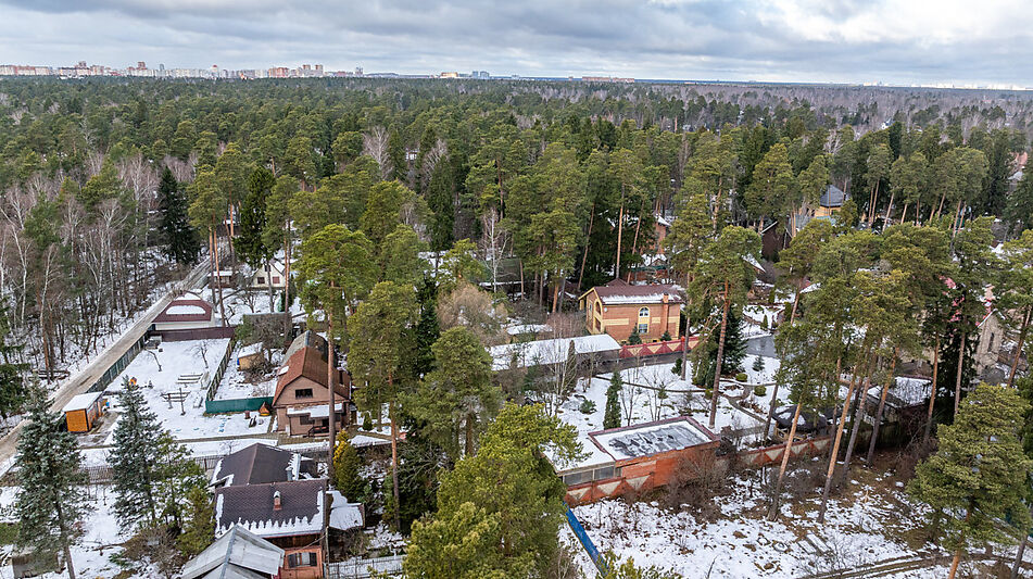 Сказочный дом в лесу Загорянский