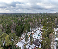 Сказочный дом в лесу Загорянский