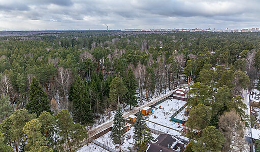 Сказочный дом в лесу Загорянский