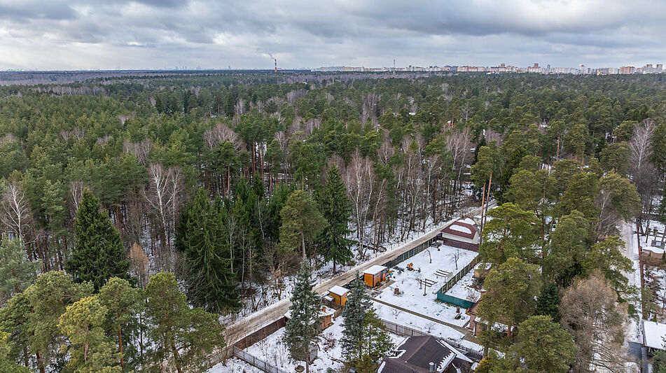 Сказочный дом в лесу Загорянский