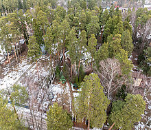 Сказочный дом в лесу Загорянский