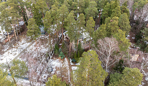 Сказочный дом в лесу Загорянский