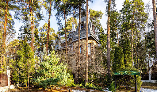 Сказочный дом в лесу Загорянский