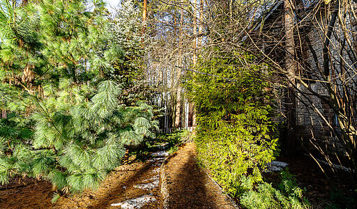 Сказочный дом в лесу Загорянский