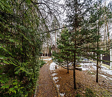 Сказочный дом в лесу Загорянский