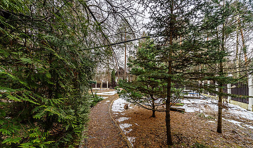 Сказочный дом в лесу Загорянский