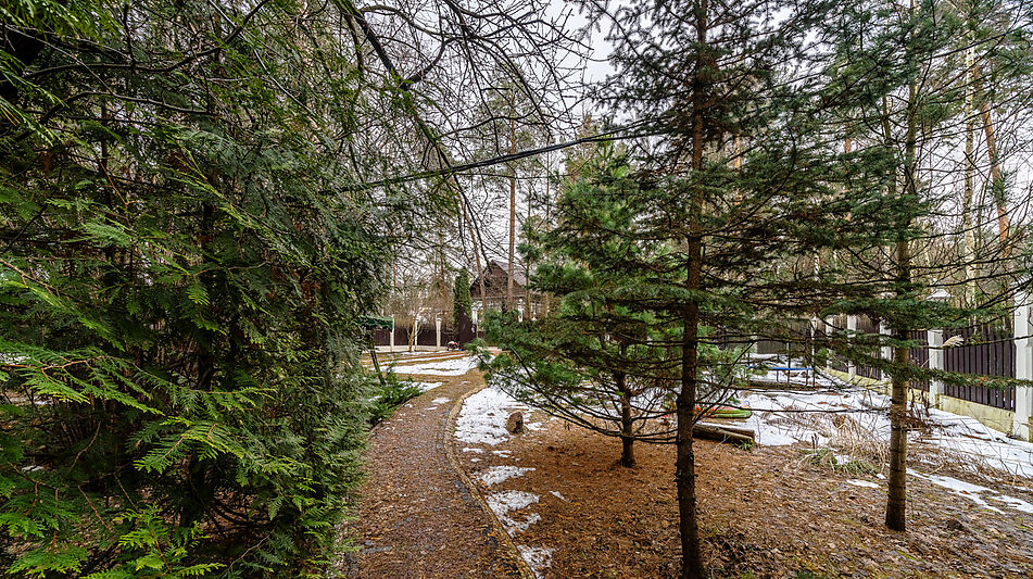 Сказочный дом в лесу Загорянский