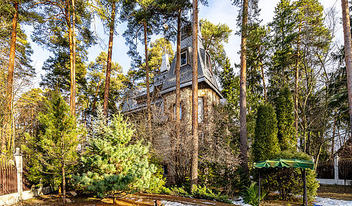 Сказочный дом в лесу Загорянский