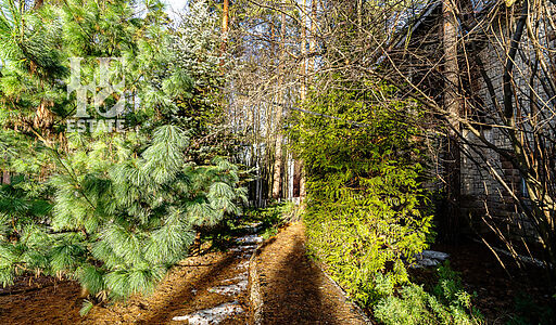 Сказочный дом в лесу Загорянский