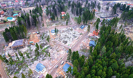 Сходня Форест Парк