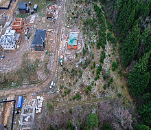 Сходня Форест Парк