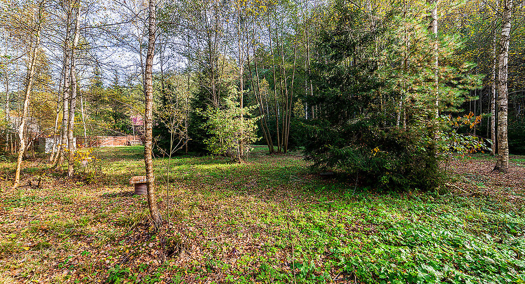 Лесные Поляны-1