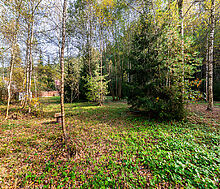 Лесные Поляны-1