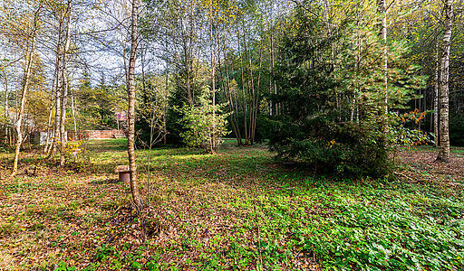 Лесные Поляны-1