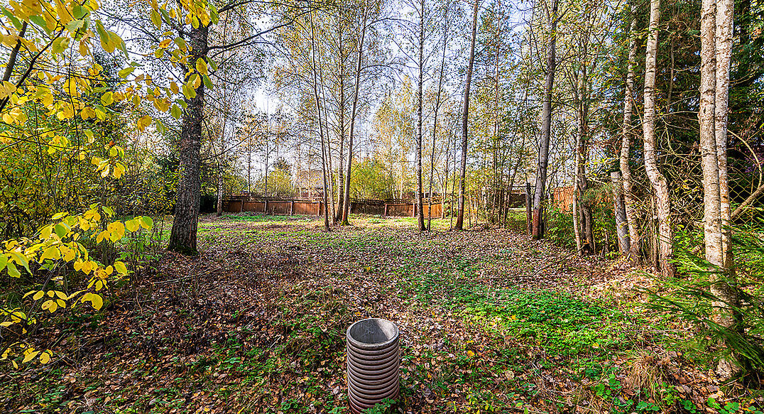 Лесные Поляны-1