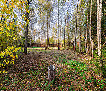 Лесные Поляны-1