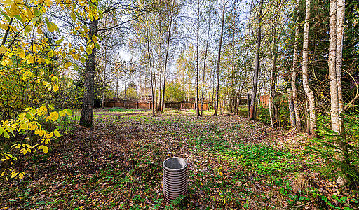 Лесные Поляны-1