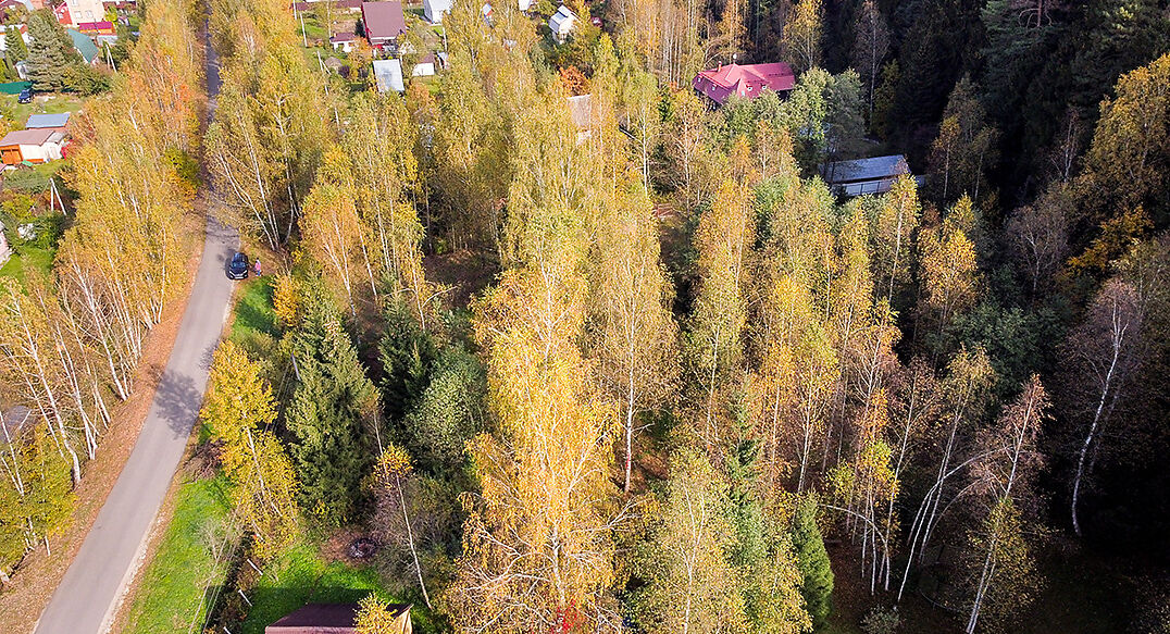 Лесные Поляны-1