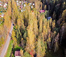 Лесные Поляны-1