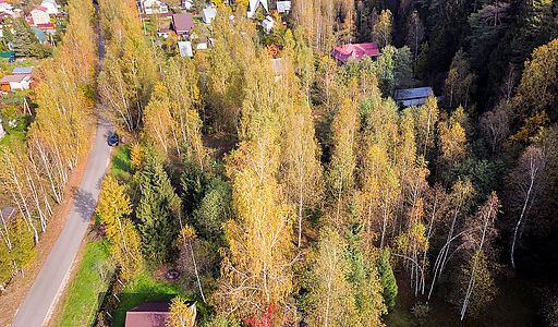 Лесные Поляны-1