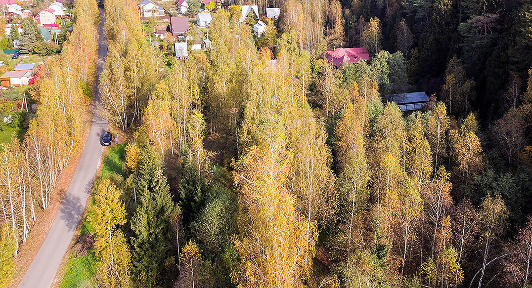 Лесные Поляны-1